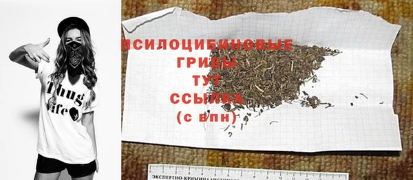 ALPHA PVP Краснослободск