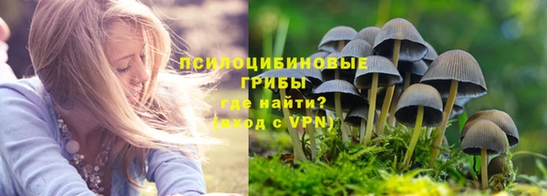 Альфа ПВП Армянск