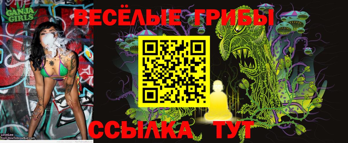 Галлюциногенные грибы Psilocybine cubensis Рыбинск