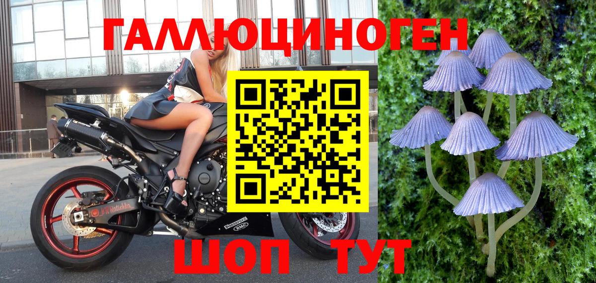 Галлюциногенные грибы мухоморы  Галлюциногенные грибы Psilocybine cubensis  Рыбинск 